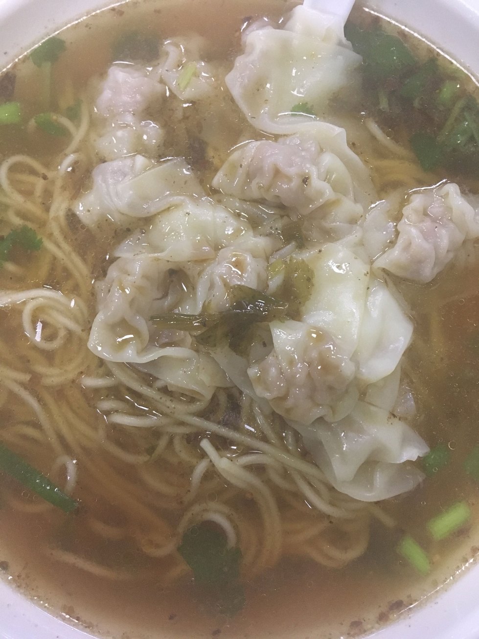 Dumpling Soup